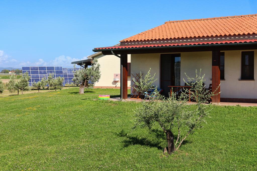 Agriturismo Gli Etruschi Populonia Exteriör bild