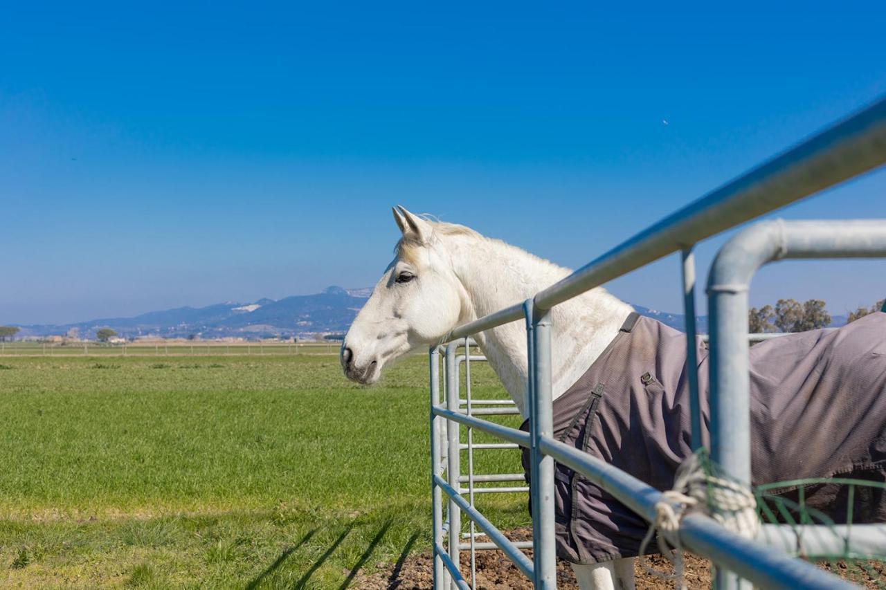Agriturismo Gli Etruschi Populonia Exteriör bild
