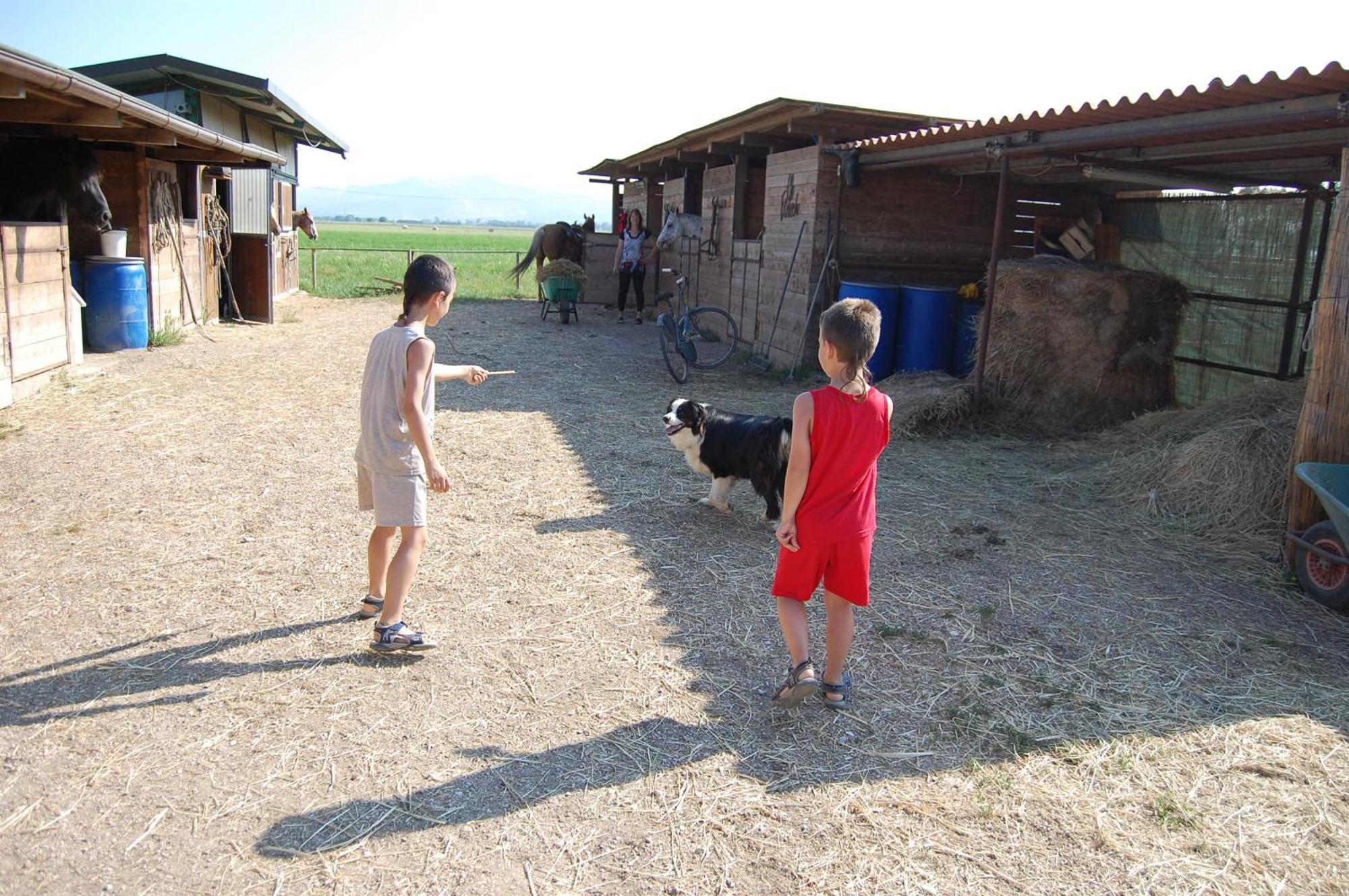 Agriturismo Gli Etruschi Populonia Exteriör bild