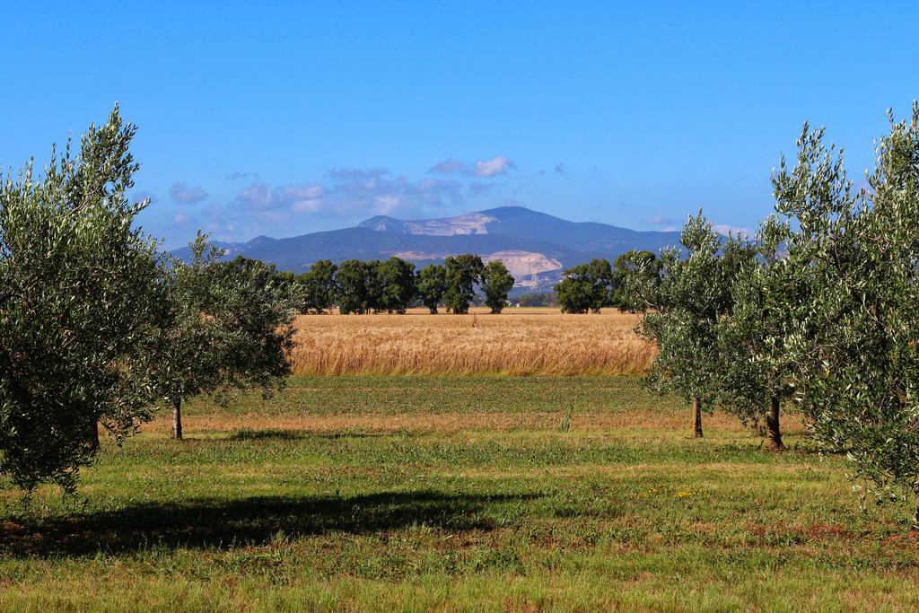 Agriturismo Gli Etruschi Populonia Exteriör bild